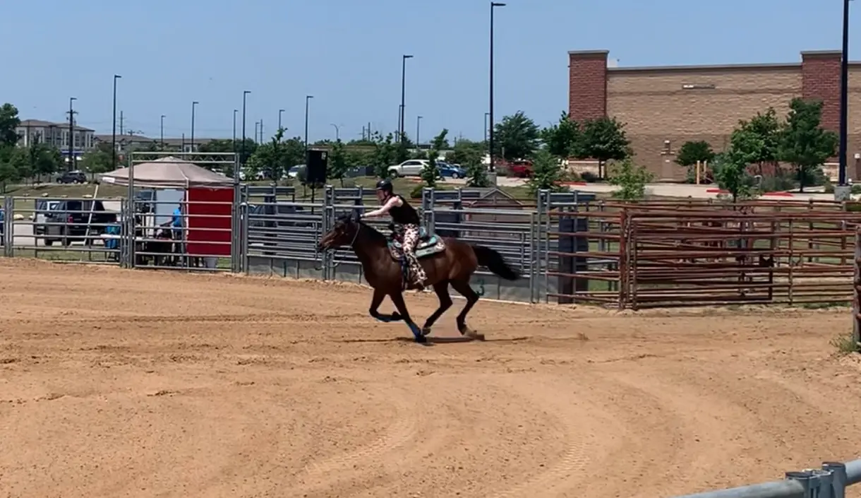 Three Oaks Equestrian Center