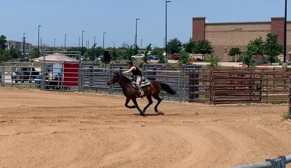 Three Oaks Equestrian Center
