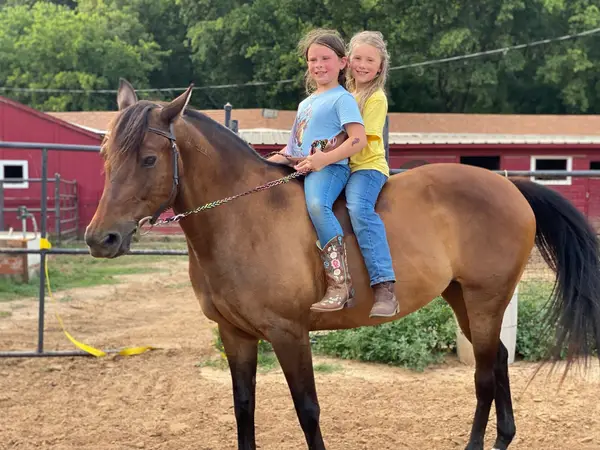 Three Oaks Equestrian Center, photo 1