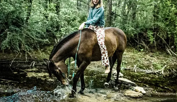 Three Oaks Equestrian Center, photo 2