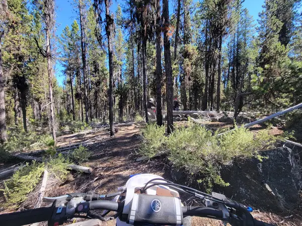 Three Trails OHV