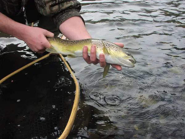 Tightline Connection Fishing Guide Service