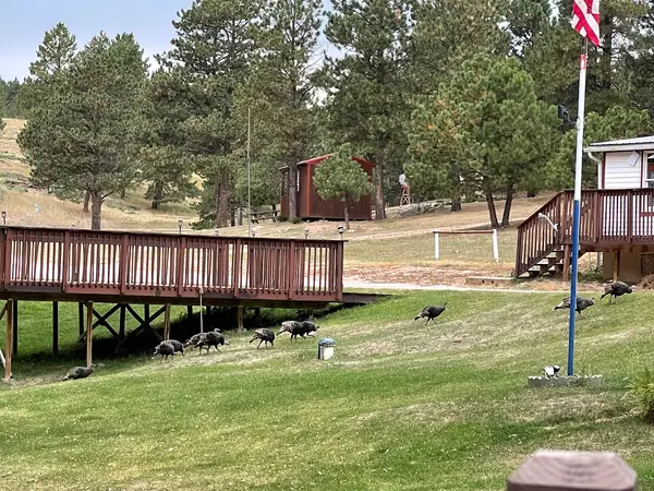 Timber Ridge Campground