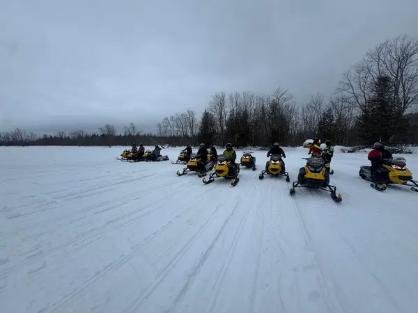 Timberline Rentals
