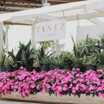 Tinez Farms, Miami, FL