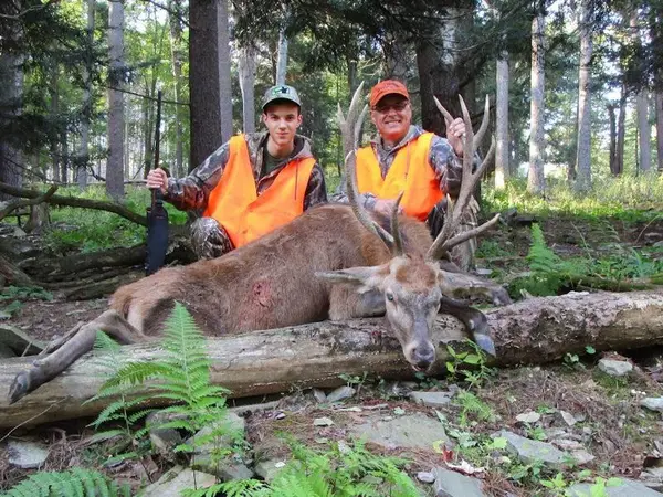 Tioga Boar Hunting