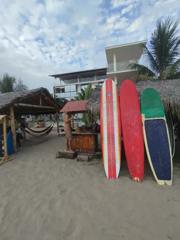 Todos Bien-Surf Boards