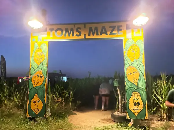 Tom's Maze and Pumpkin Farm, Germantown, OH