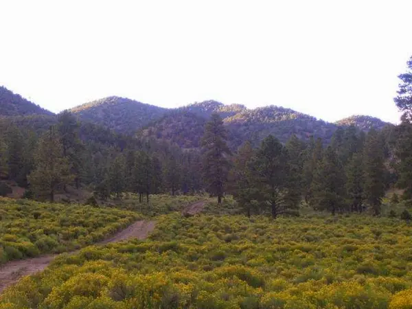Top Notch Outfitters
