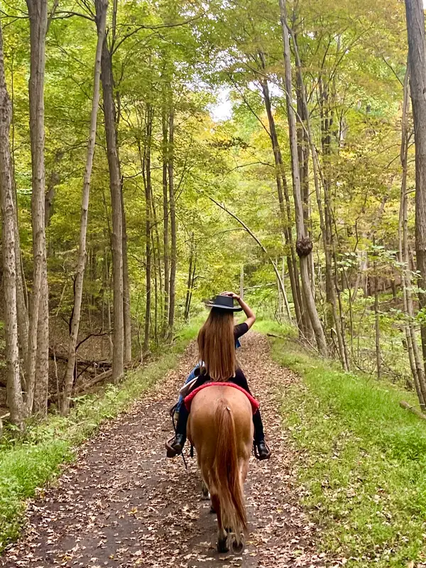 Top View Riding Ranch trails and sales