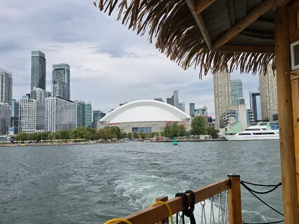 Toronto Palapa Tours, photo 3