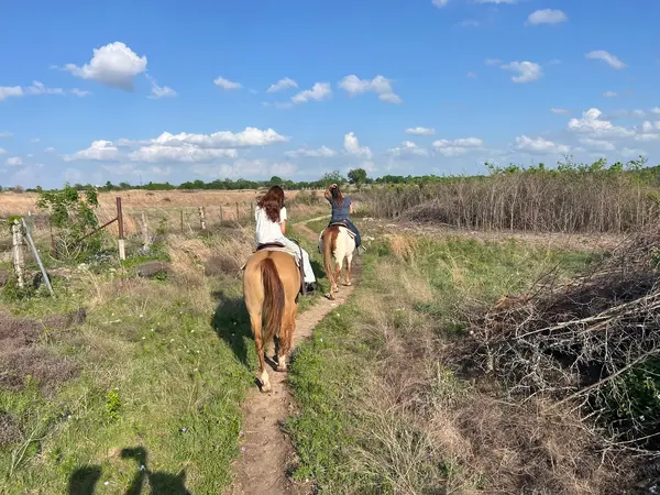 Touch of Chrome Trail Rides, photo 1