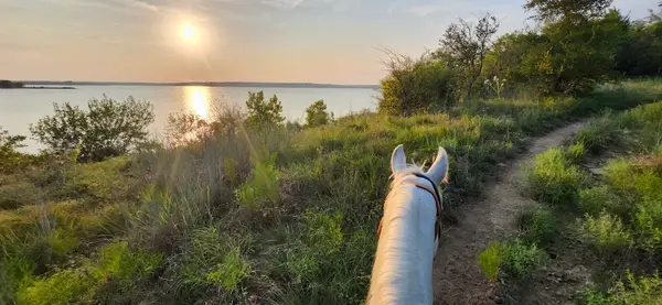 Touch of Chrome Trail Rides, photo 2