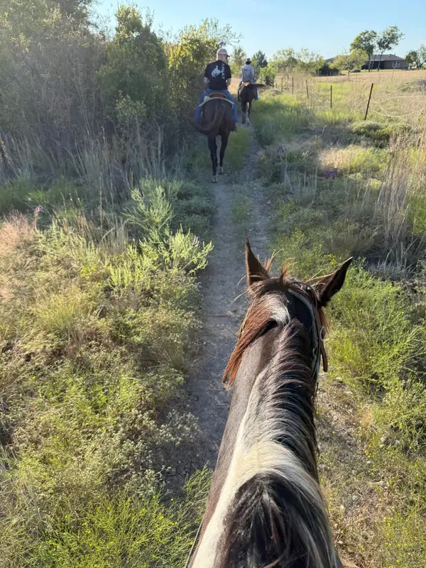 Touch of Chrome Trail Rides, photo 3