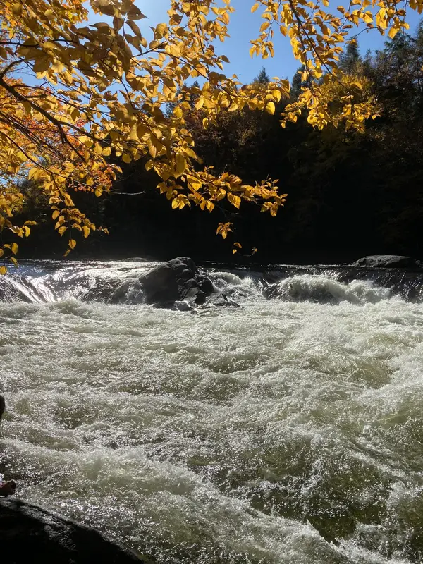 TOURMUSKOKA, photo 3