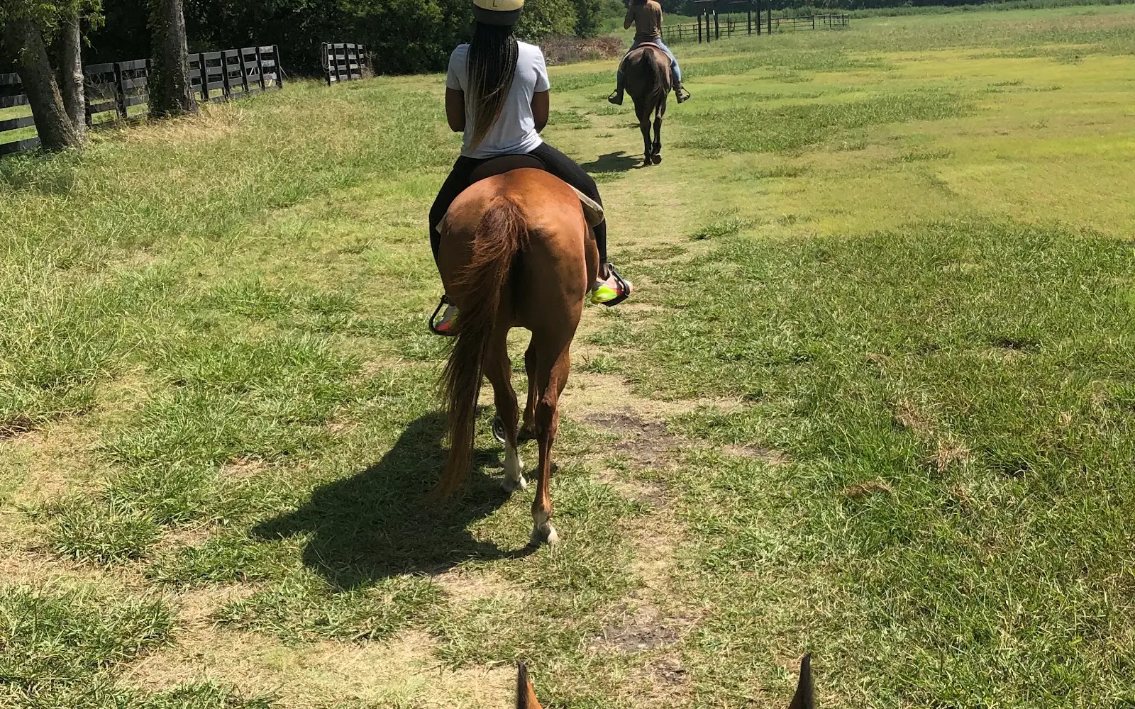 Trail Rides USA