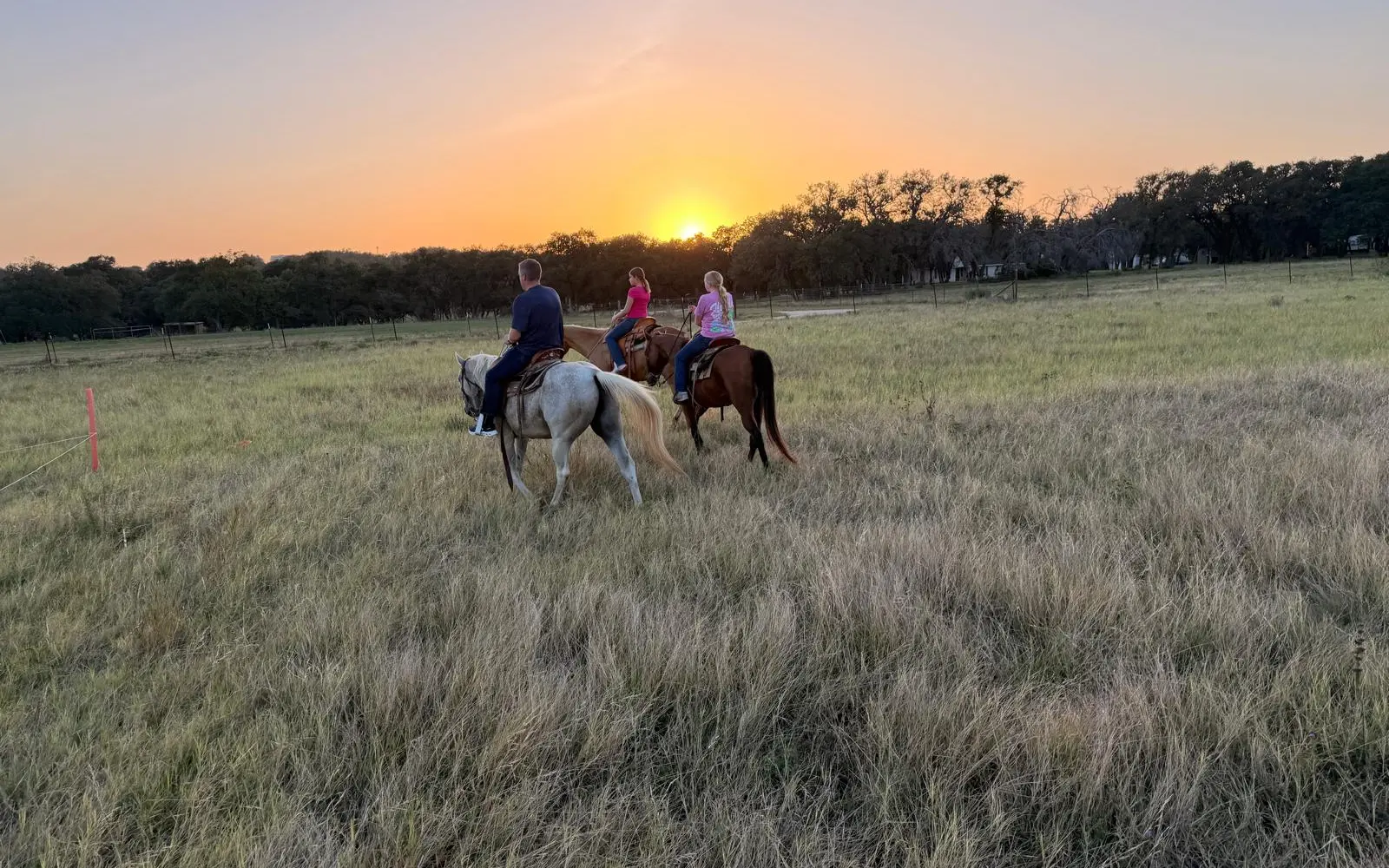 Travis P Trail Rides