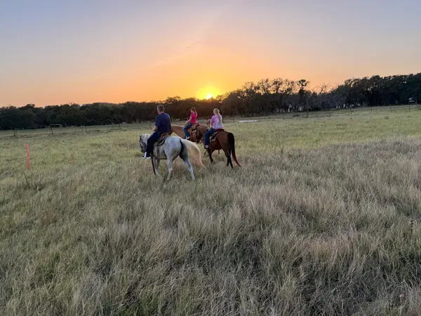 Travis P Trail Rides, photo 4