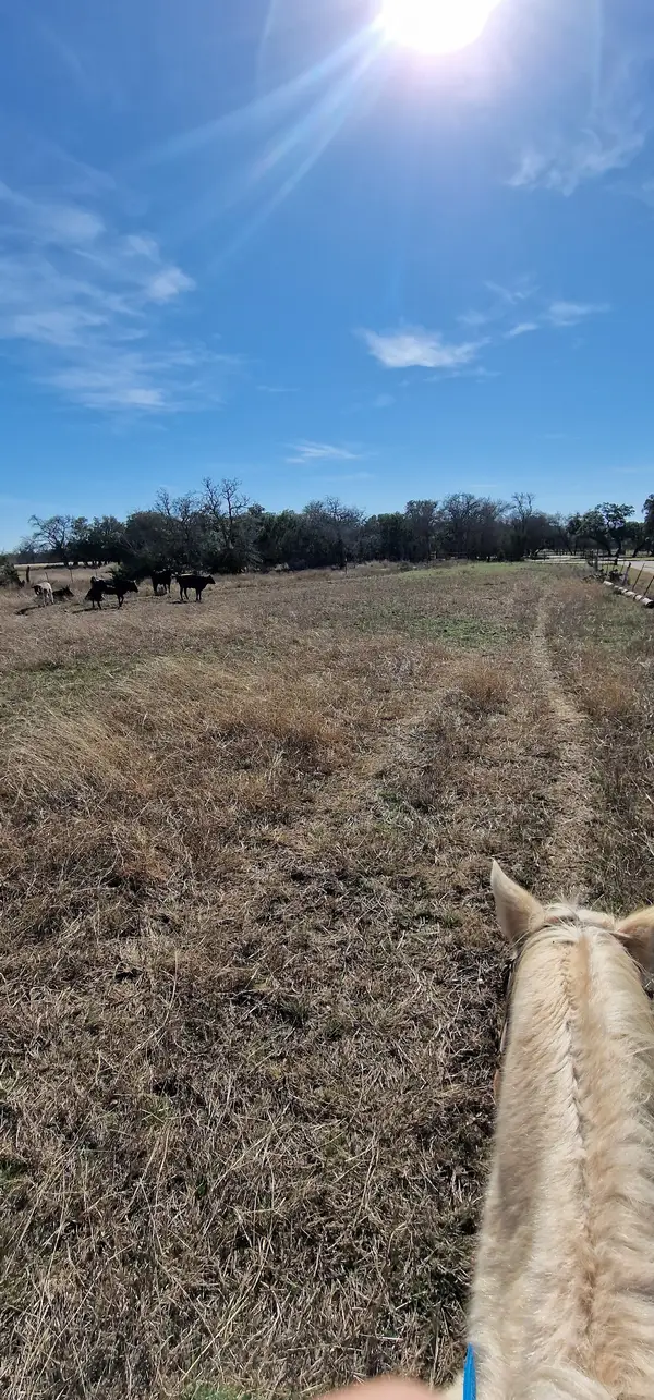 Travis P Trail Rides, photo 3