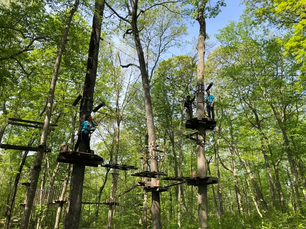 TreeTrails Adventures Mystic, Mystic, CT