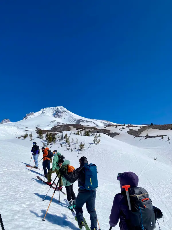 Trillium Alpine Guides