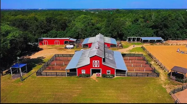Trinity Forest Stables, photo 1