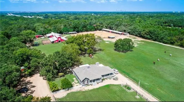 Trinity Forest Stables, photo 2