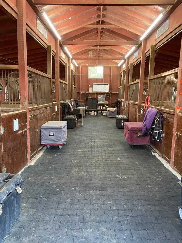 Trinity Forest Stables, photo 3