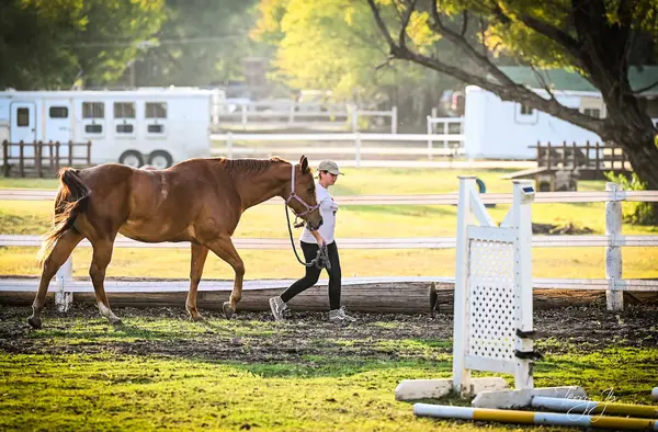 Trinity River Farm & Equestrian Center, photo 3