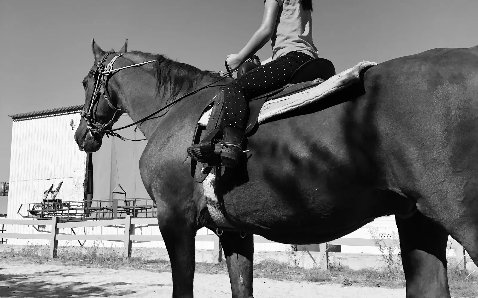 Triple R Boarding Stables