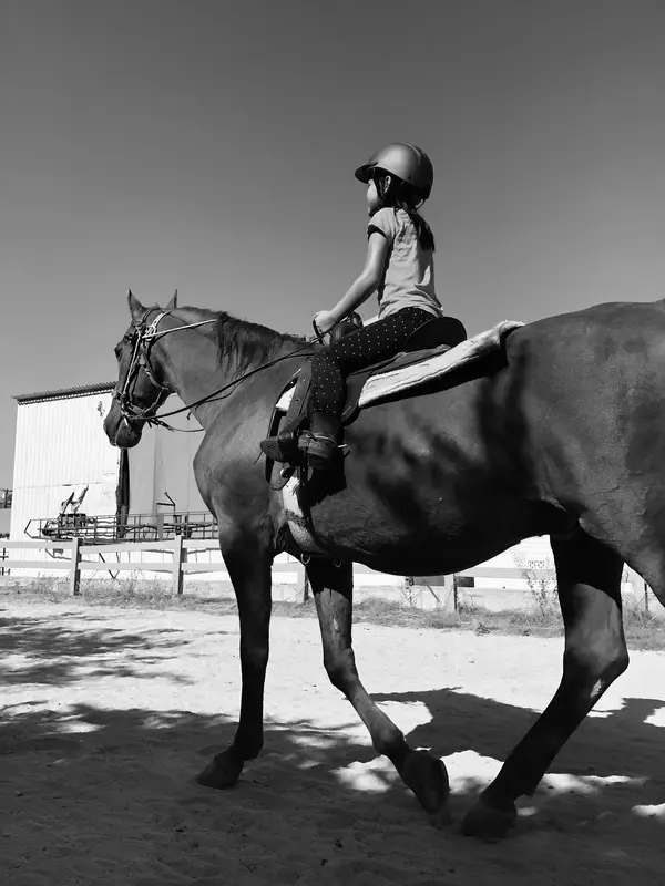Triple R Boarding Stables