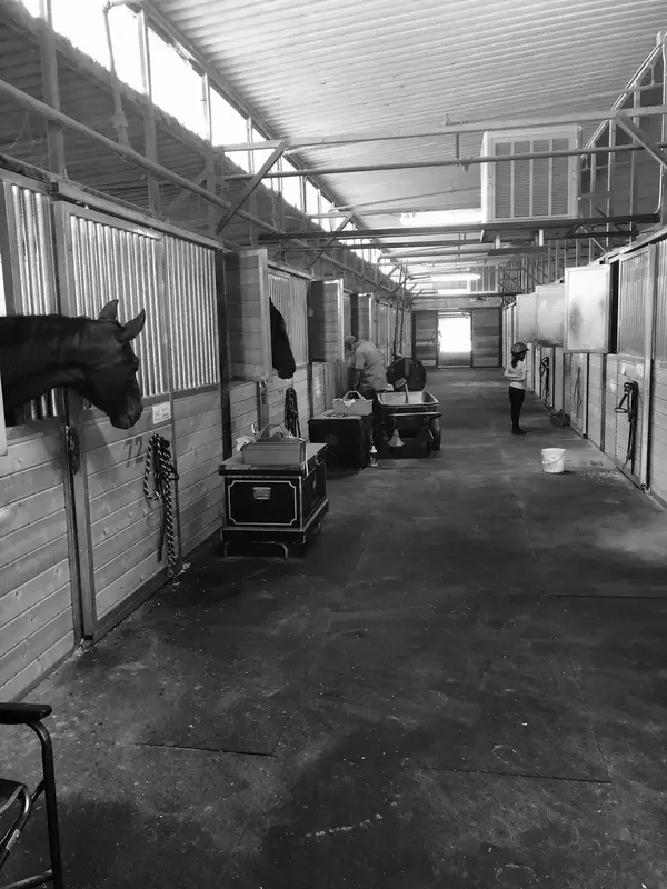 Triple R Boarding Stables, photo 2