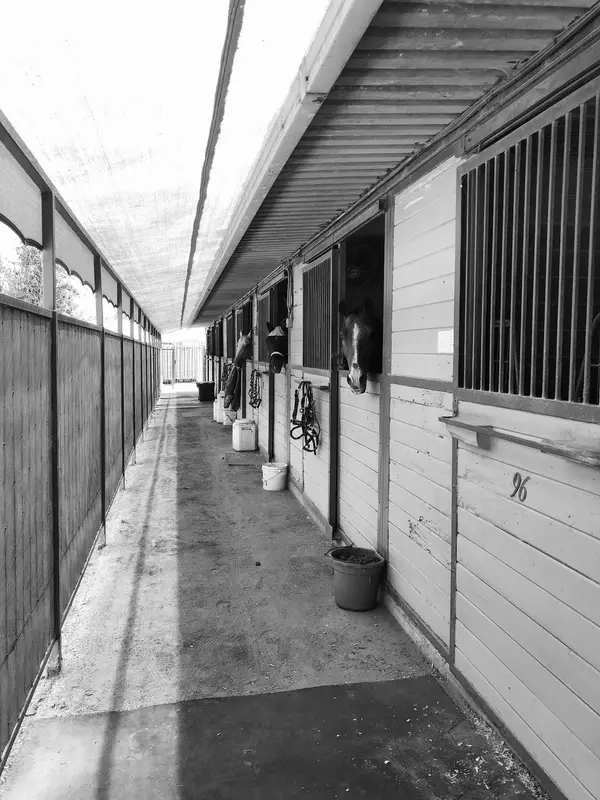 Triple R Boarding Stables, photo 3