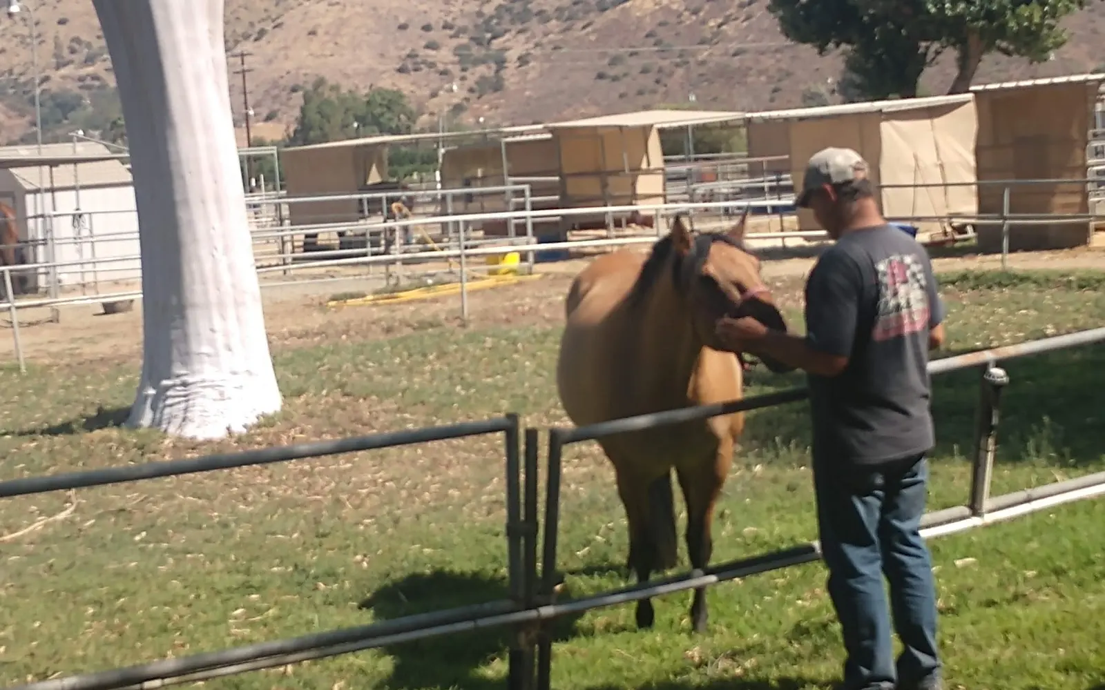 Triple S Horse Ranch