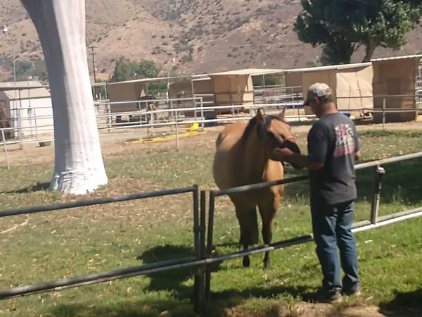Triple S Horse Ranch