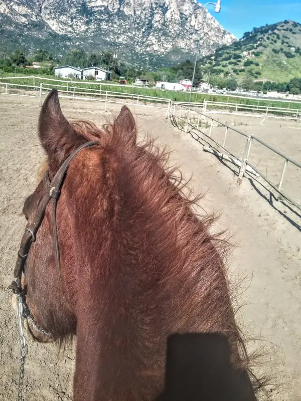 Triple S Horse Ranch, photo 1