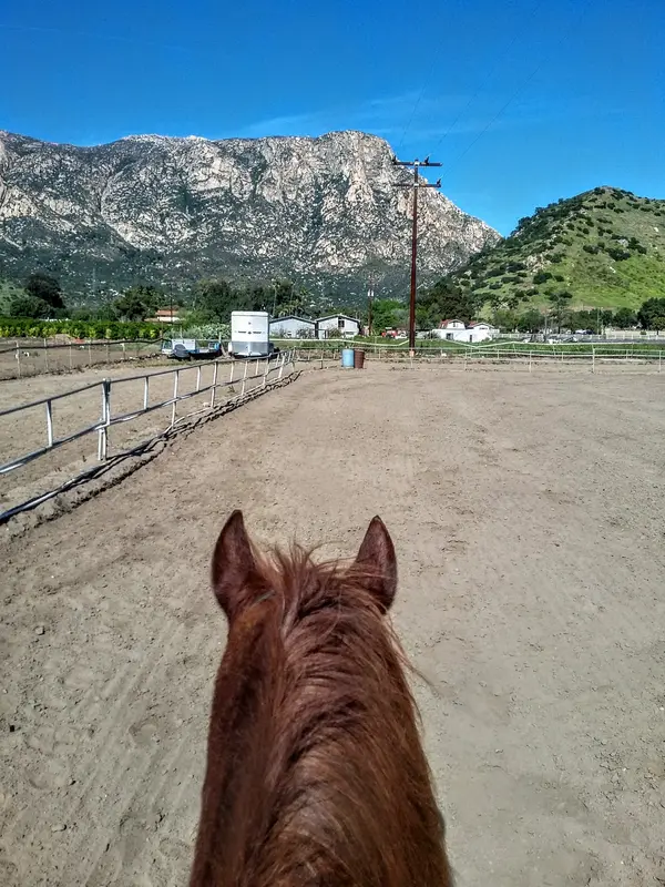 Triple S Horse Ranch, photo 2