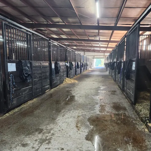 Trish Franks Riding School / Natchez Bend Performance Centre LLC