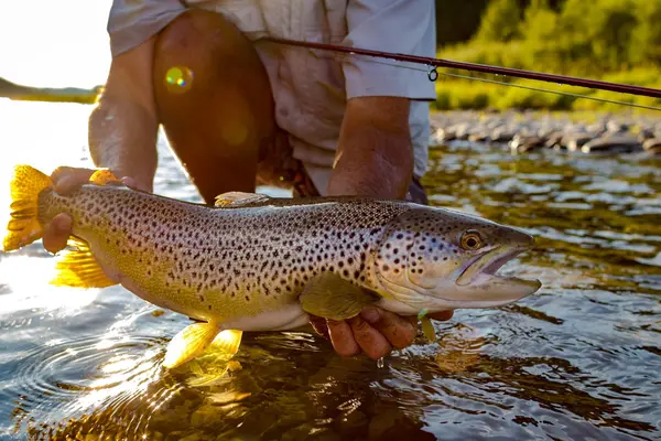 Trout Chasers River Company Ltd.