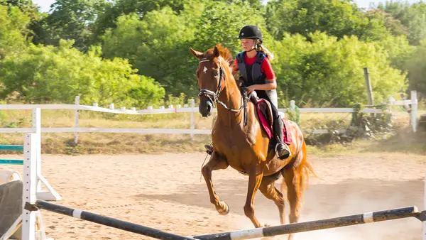 Turkey Creek Stables
