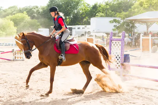 Turkey Creek Stables, photo 1