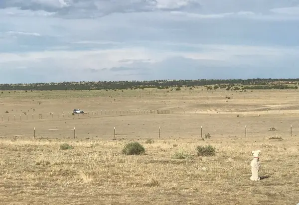 Turkey Ridge Ranch