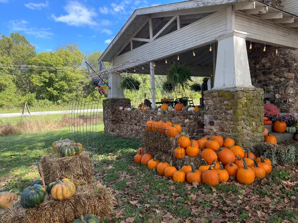 Turnbuckle Farm, Bentonville, AR