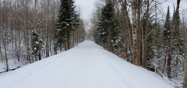 Tuscobia State Trail
