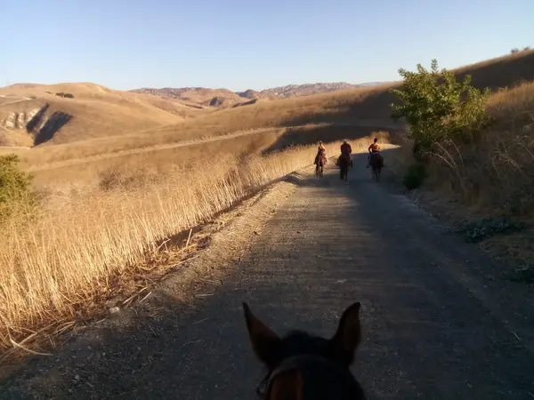 Twenty Nine Oaks Ranch, photo 1
