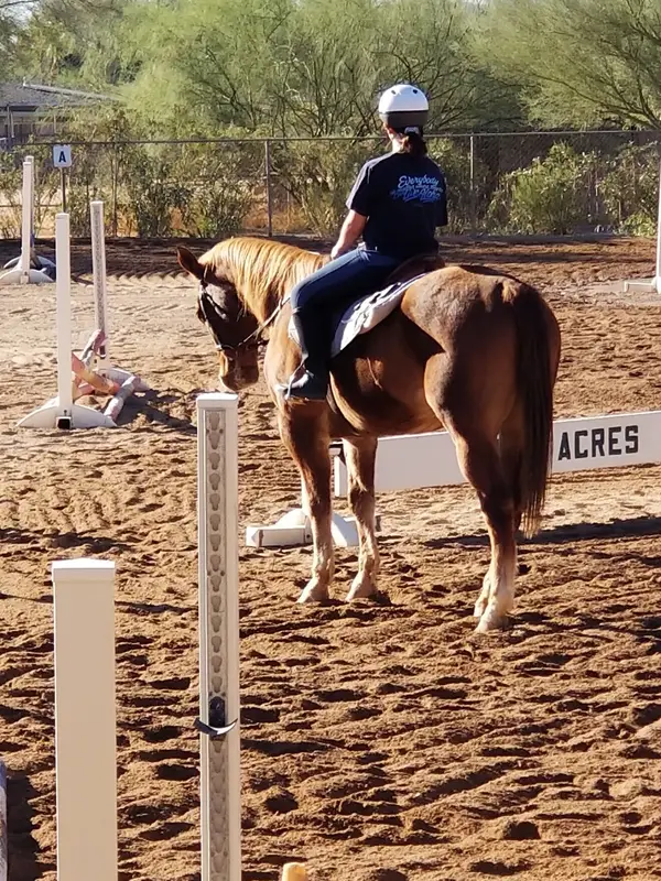 Twin Acres School of Riding