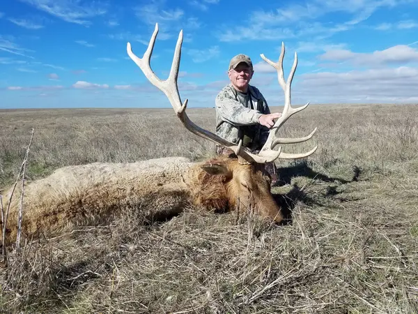Twisselman Outfitters tule elk hunts