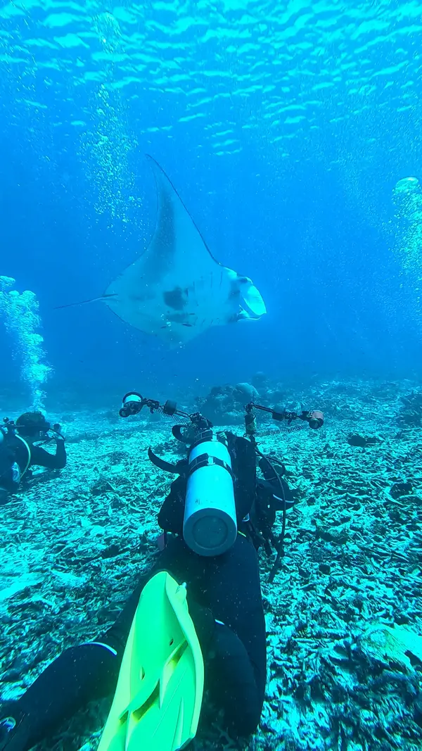 Uber Scuba Komodo