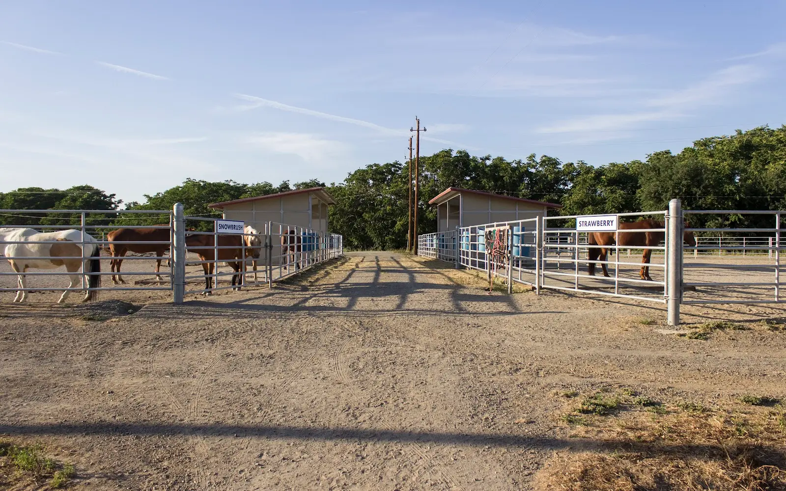 UC Davis Equestrian Center