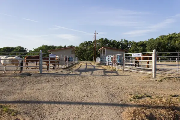 UC Davis Equestrian Center